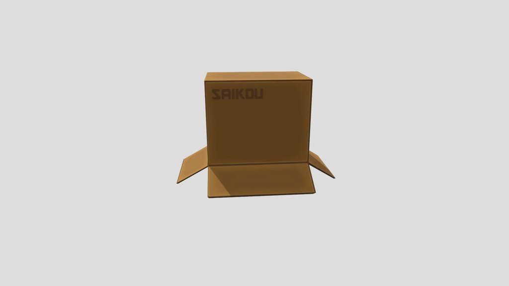 Wearable Cardboard Box