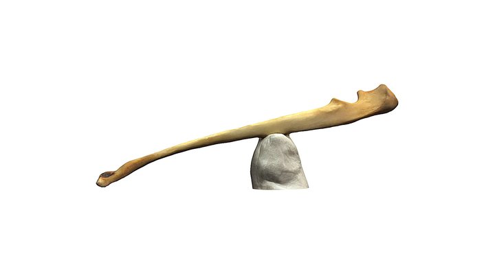 Ho UMVC4135_2-poly 3D Model