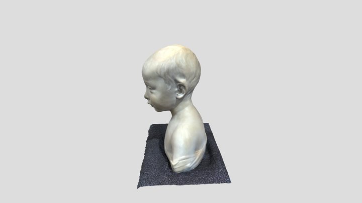 polyscan_Test2 3D Model