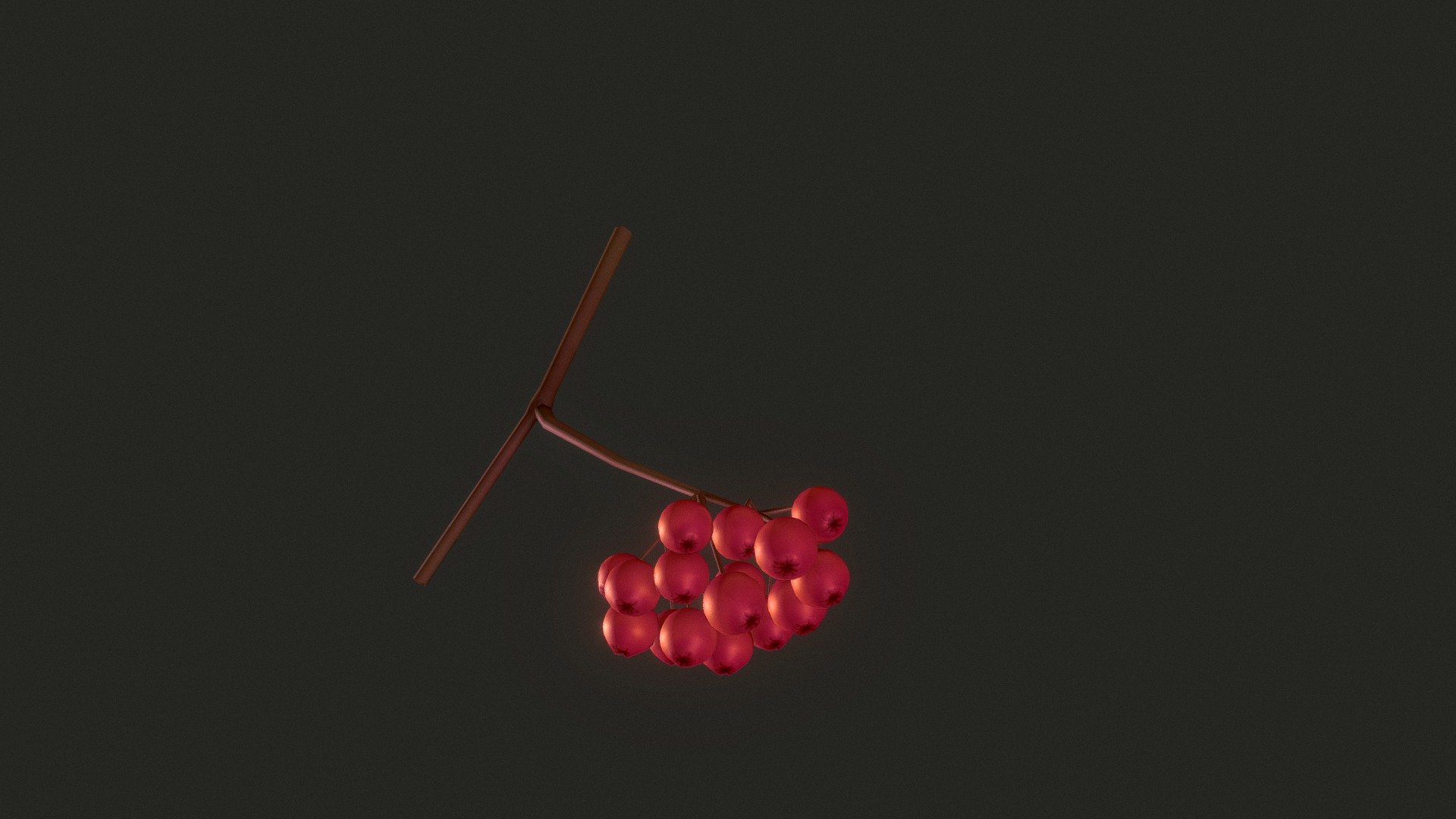 Day 2. Sorbus