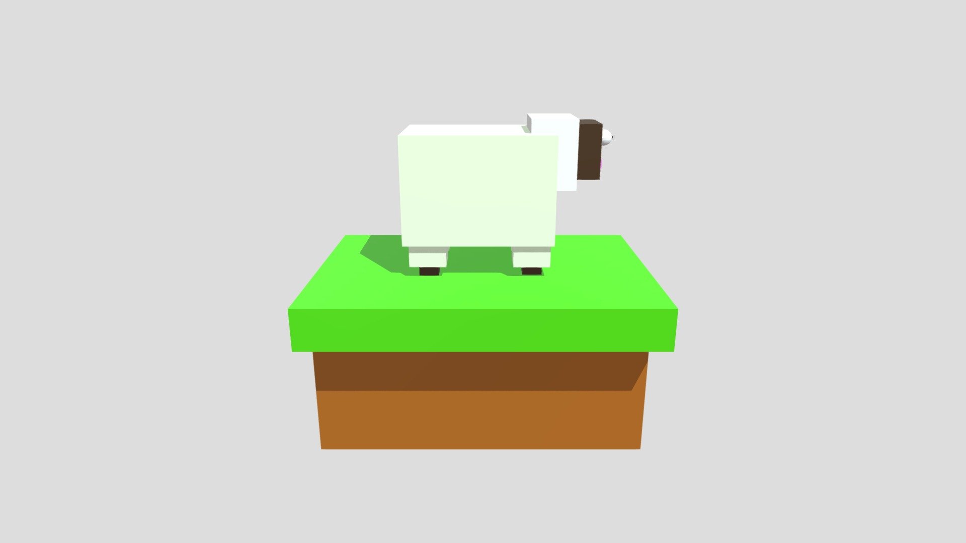 Sheep