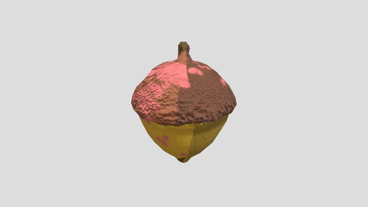 Bellota 3D Model