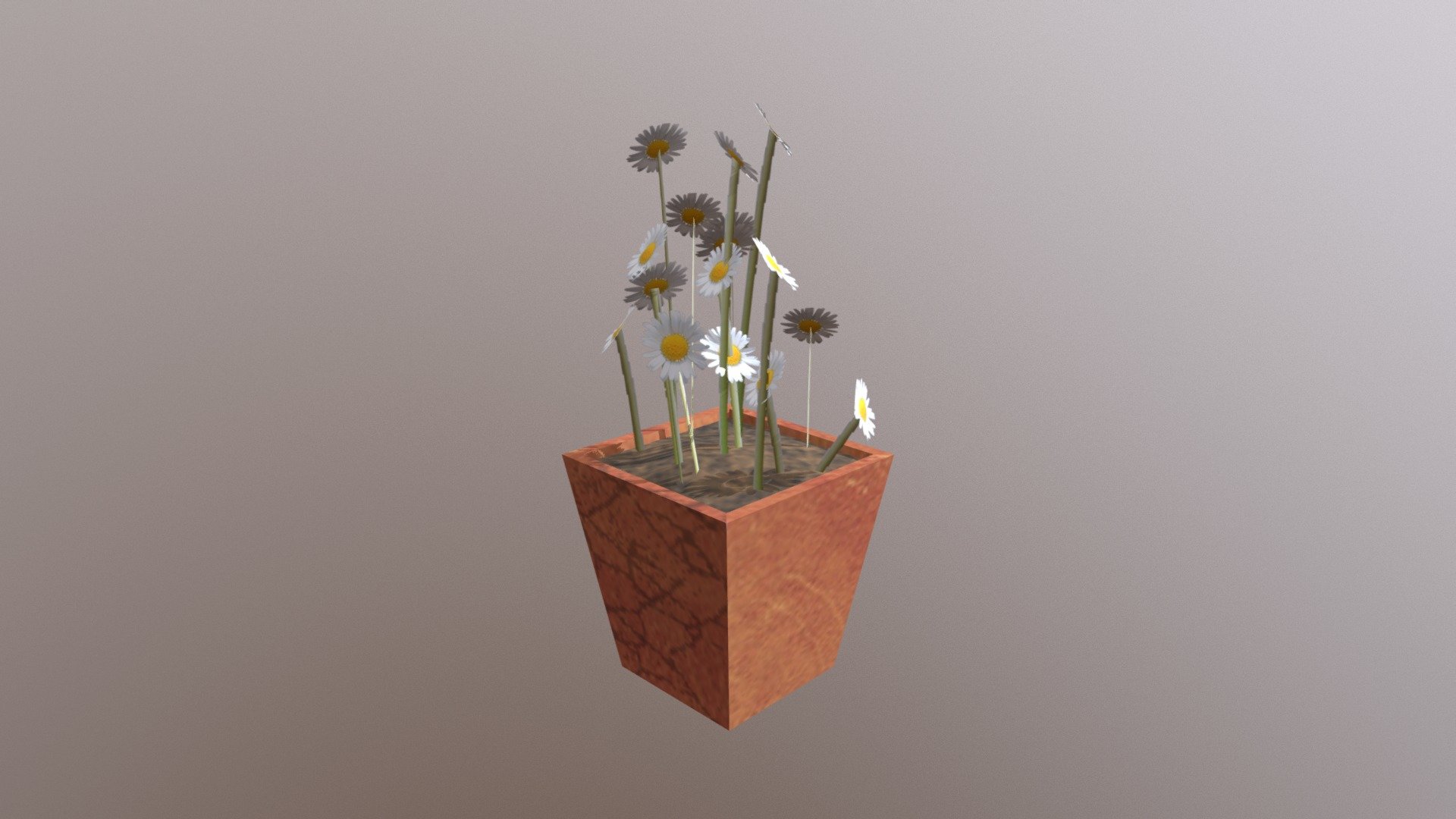 Flowers 4