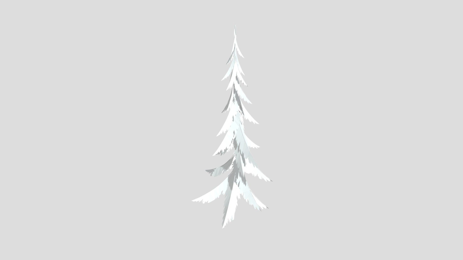 Spruce