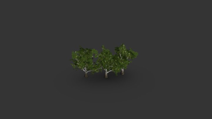 SM_TreesOak_01 3D Model