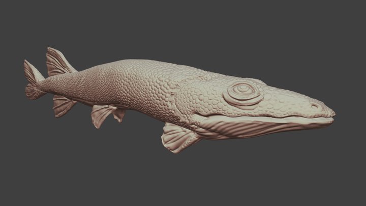 Fish 3D Model