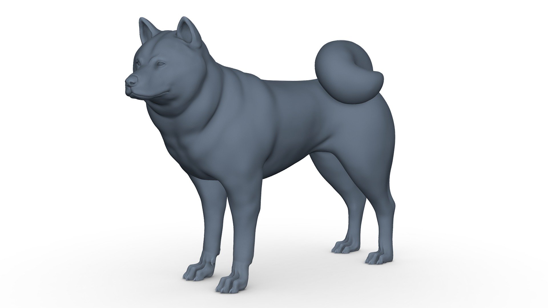 Shiba Inu V1 3D print model - Buy Royalty Free 3D model by Peternak 3D ...