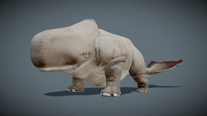Whale Rhino 3D Model