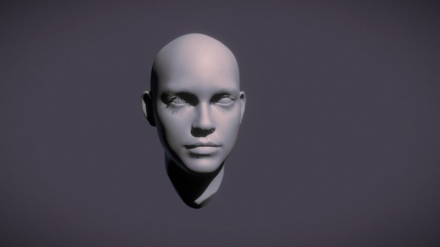 Face_WIP 3D Model
