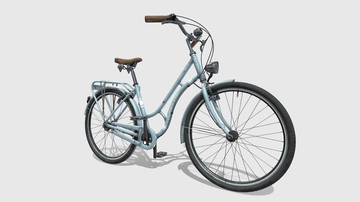Ladys Bicycle 3D Model
