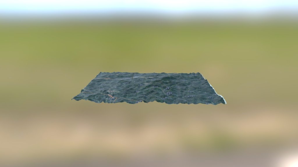 QDN_LeishanModel_11_LB