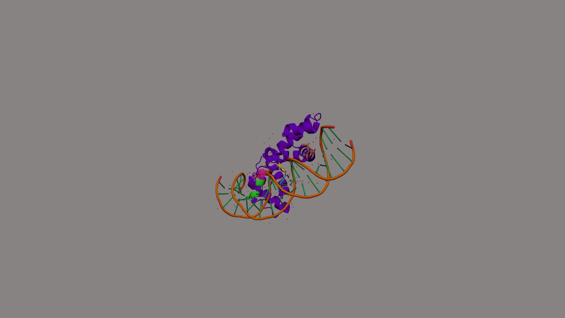 CENP‐B protein–DNA complex crystal structure - Download Free 3D model ...