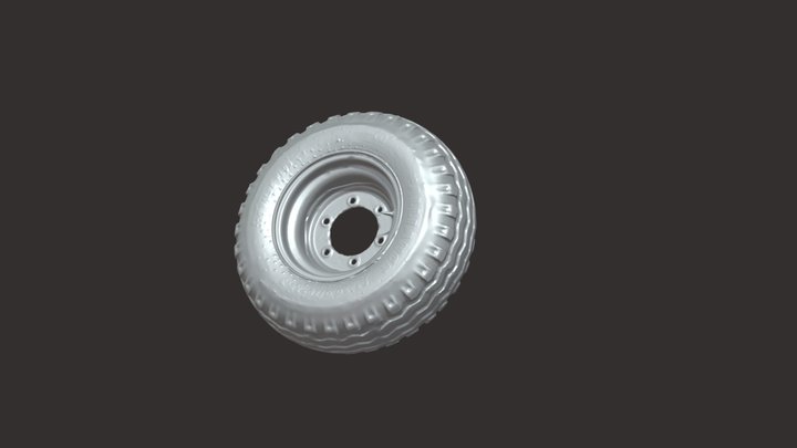 Wheel - 3D Scan - RAKE 3D Model