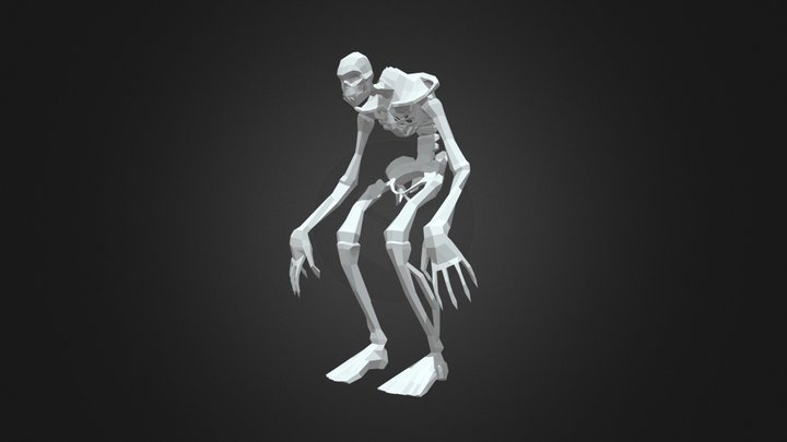 Skeleton 3D Model
