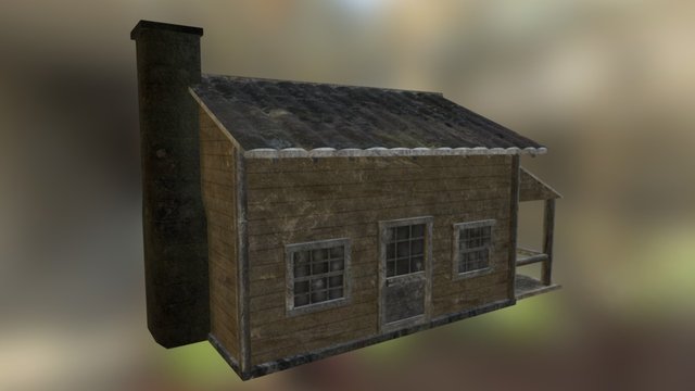 Rural Shack 3D Model