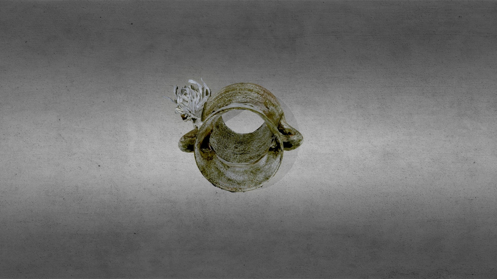 Entrega Final  Fotogrametría modelo 3D