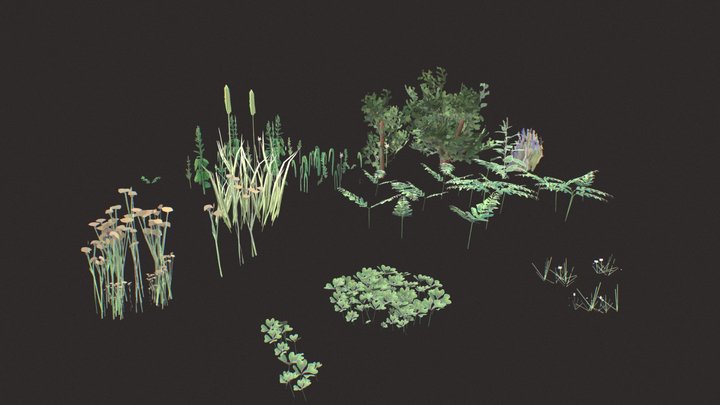 Stylized Plants Bundle 3D Model