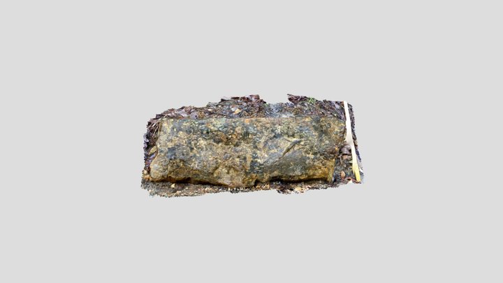 NV sample 1 3D Model