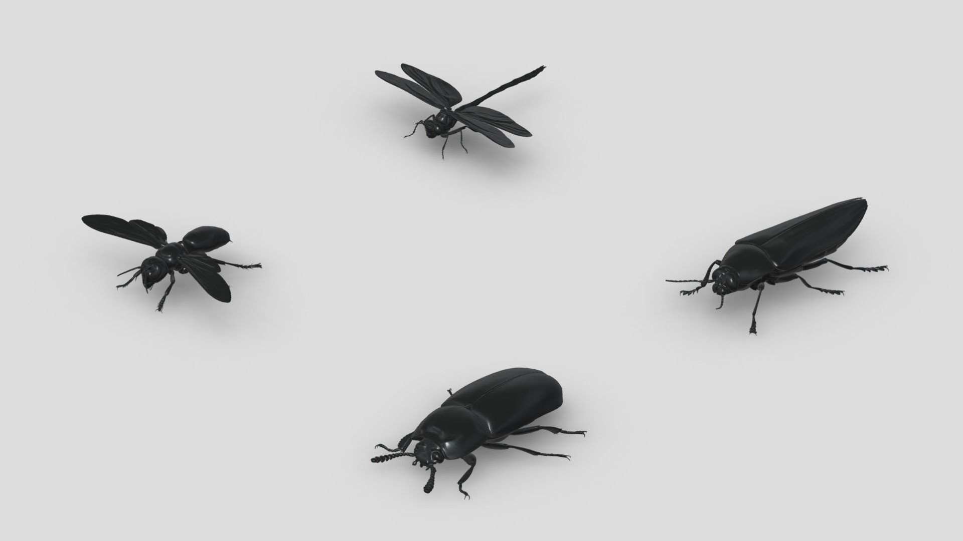 3D model Insects&beetles-pack11 - This is a 3D model of the Insects&beetles-pack11. The 3D model is about a group of black and white helicopters.