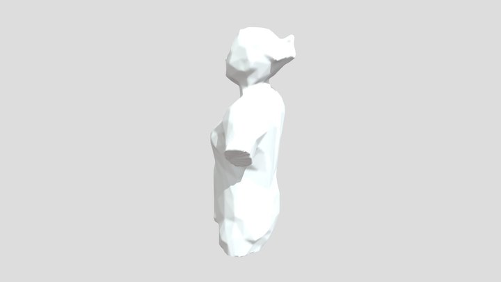 BODY 3D Model
