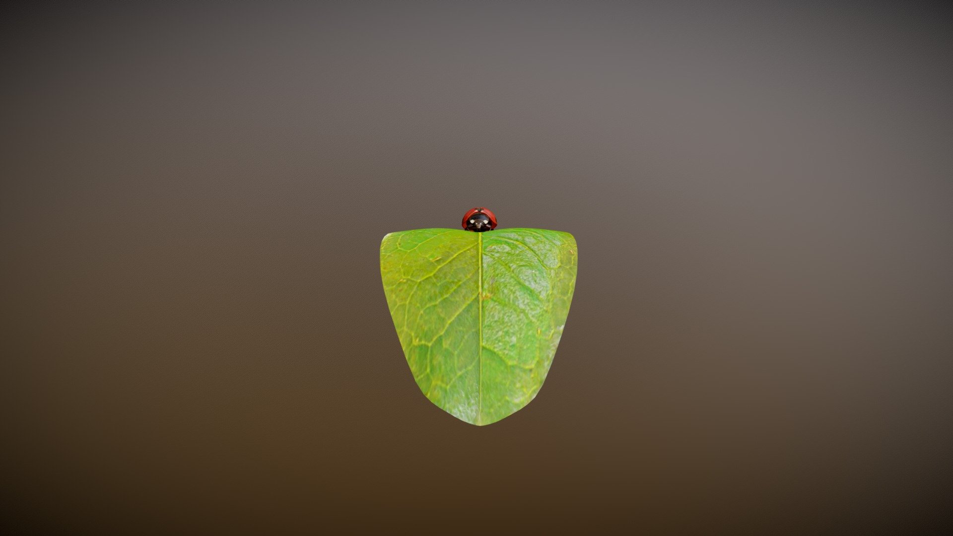 Ladybug - 3D model by Vida Systems (@objects1) [c16d1ee] - Sketchfab