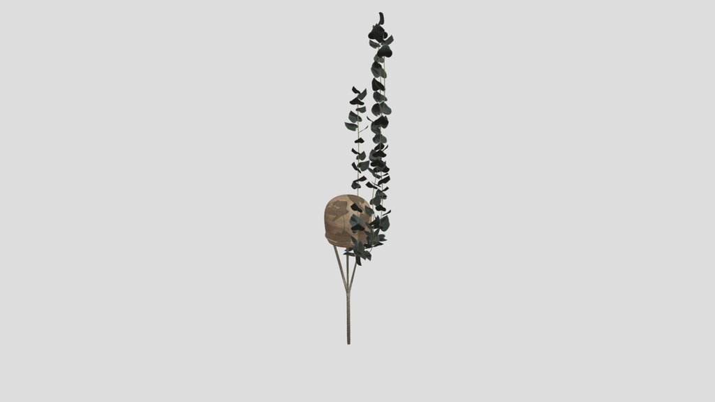 Hanging Trailing Vine Planter