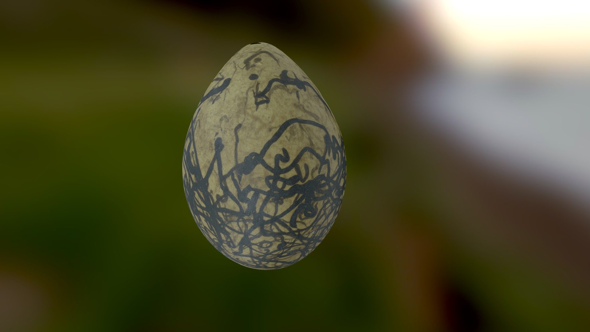 Australian bird egg #3