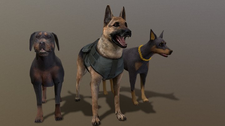 German_Sheperd, Doberman, Rottweiler (Lowpoly) 3D Model
