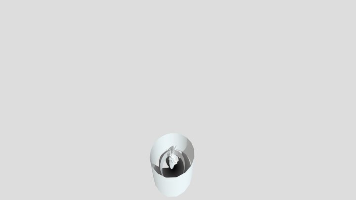 ninja 3D Model