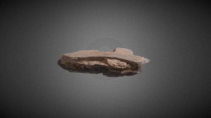 Model 3D Model