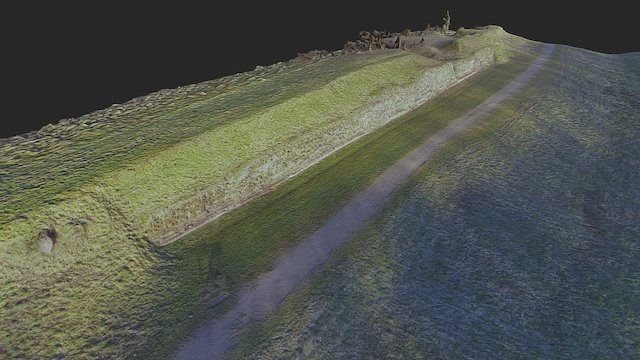 Waldemars Wall - Overview (Danewerk/Germany) 3D Model
