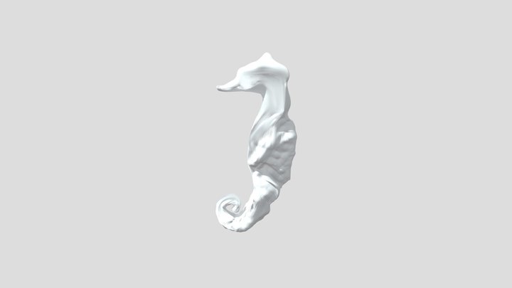Flying Seahorse 3D Model