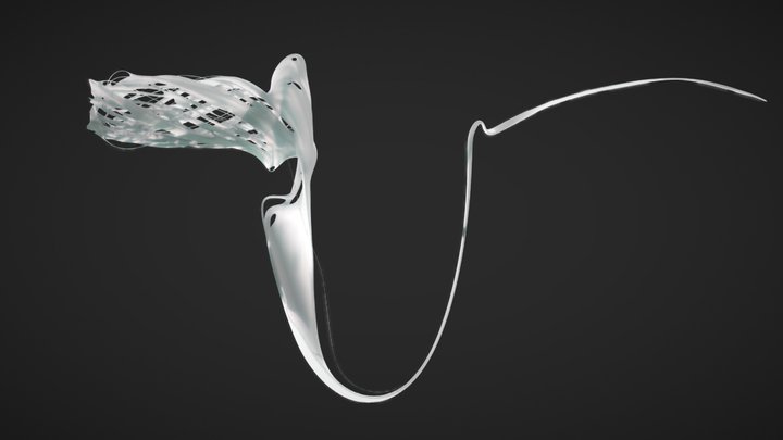 PVP V2.1_Cuttlefish_S2-3 3D Model