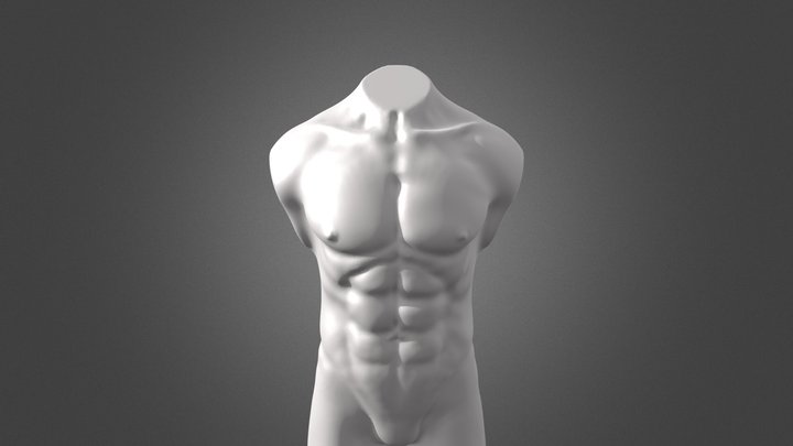 Torso Man 3D Model