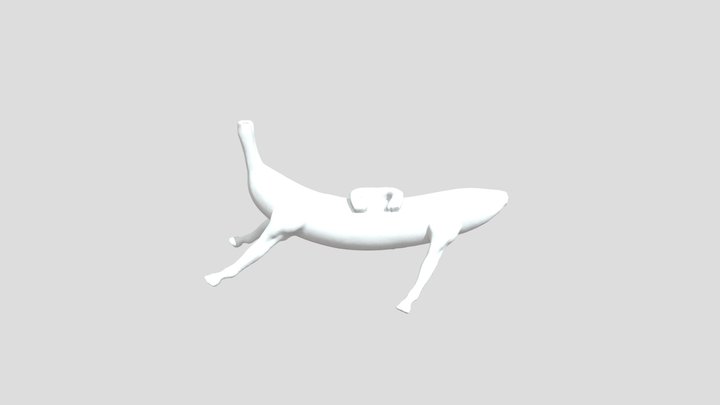 Impossible Variation 3D Model