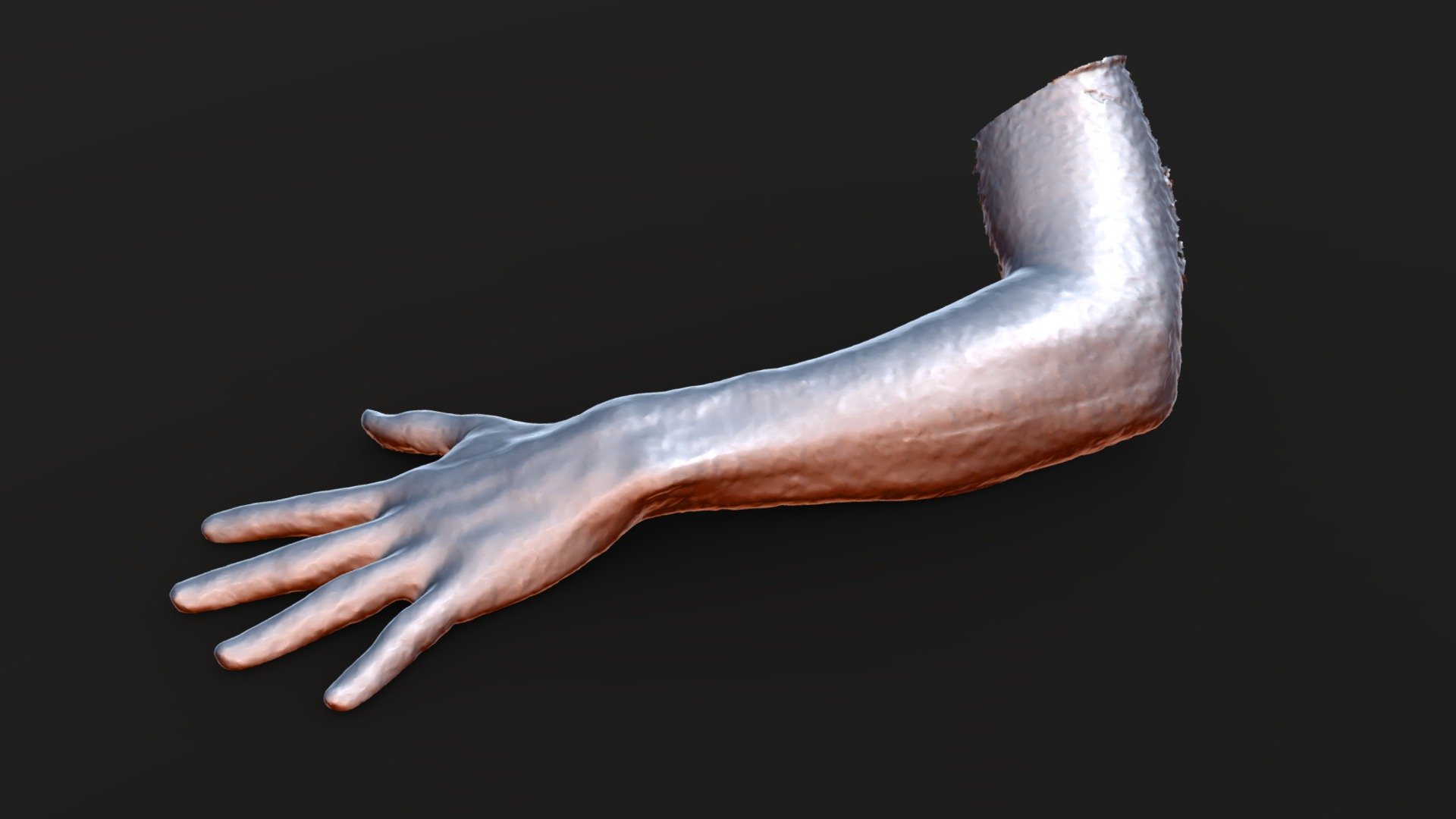 Arm TrueDepth 3d Scan Download Free 3D model by laanlabs [c1829d0