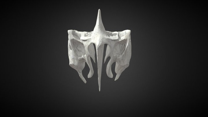 Ethmoid bone / Hueso Etmoides 3D Model