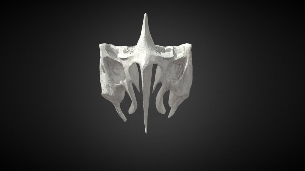 Ethmoid bone / Hueso Etmoides