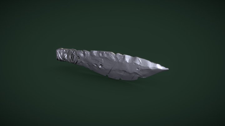 2DAE_SchultzCaia_Asset1 3D Model
