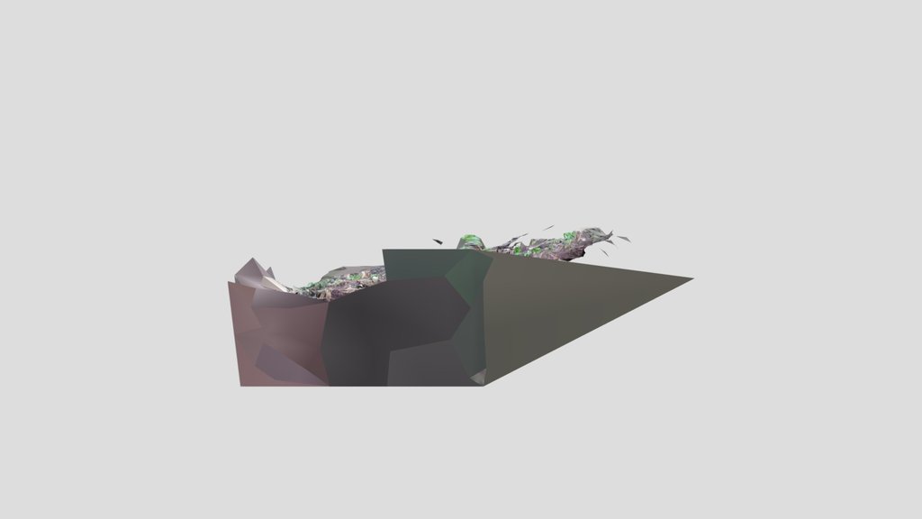 Badger boundary latrine 1