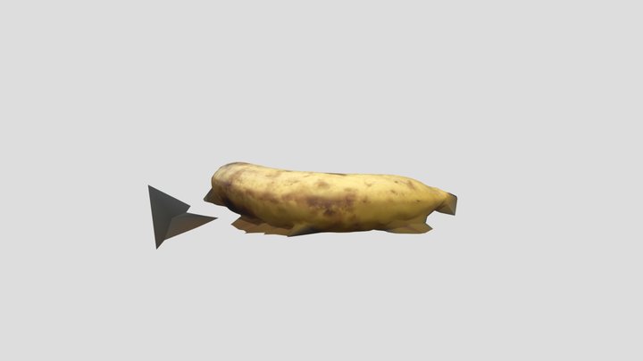 Jones_P5_Natural_ObjectName_Complete.fbx 3D Model