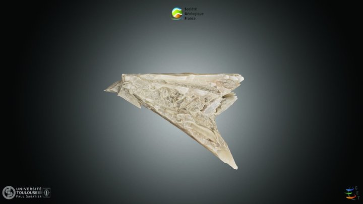 Roche - Gypse en fer de lance. – Kostenloses 3D-Modell STL