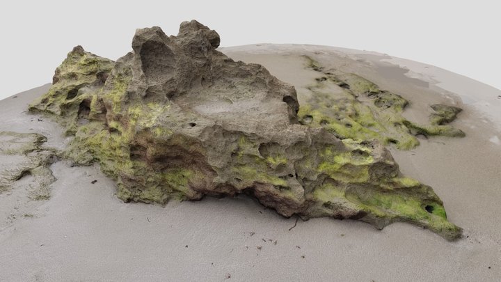 Beach Rocks 002 3D Model