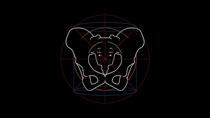 Pelvis and spheres 3D Model