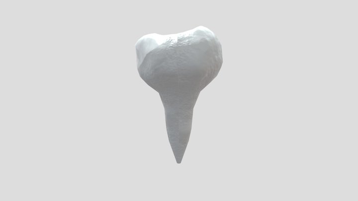 PD-1 3D Model