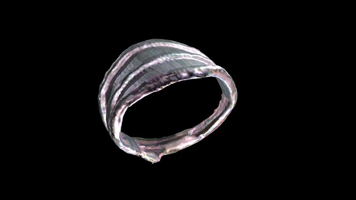 Перстень. X – XI вв. Шурскол-2, 2024 3D Model