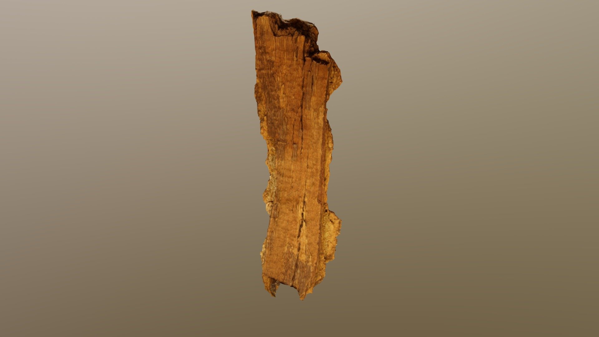Desert Oak Piece 18 10k