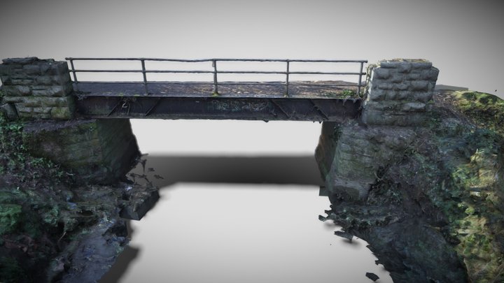 Ward River Valley Bridge Face 3D Model