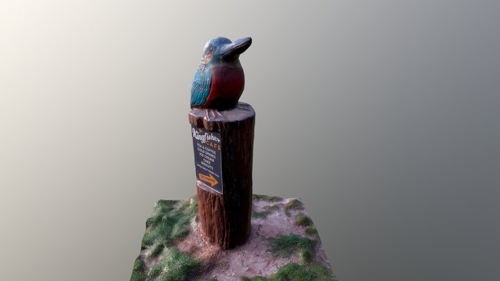 Wooden Kingfisher Carving, photoscan 3D Model