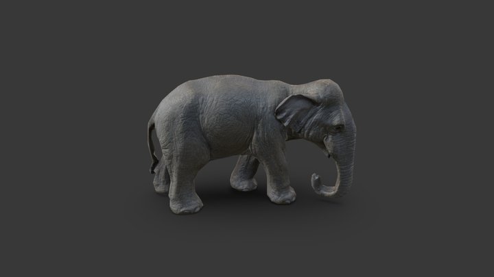 Elephant 3D Model